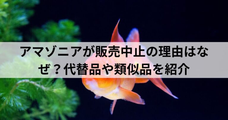 アマゾニアが販売中止の理由はなぜ？代替品や類似品を紹介